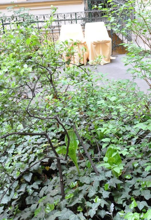 Appartement Terrace *